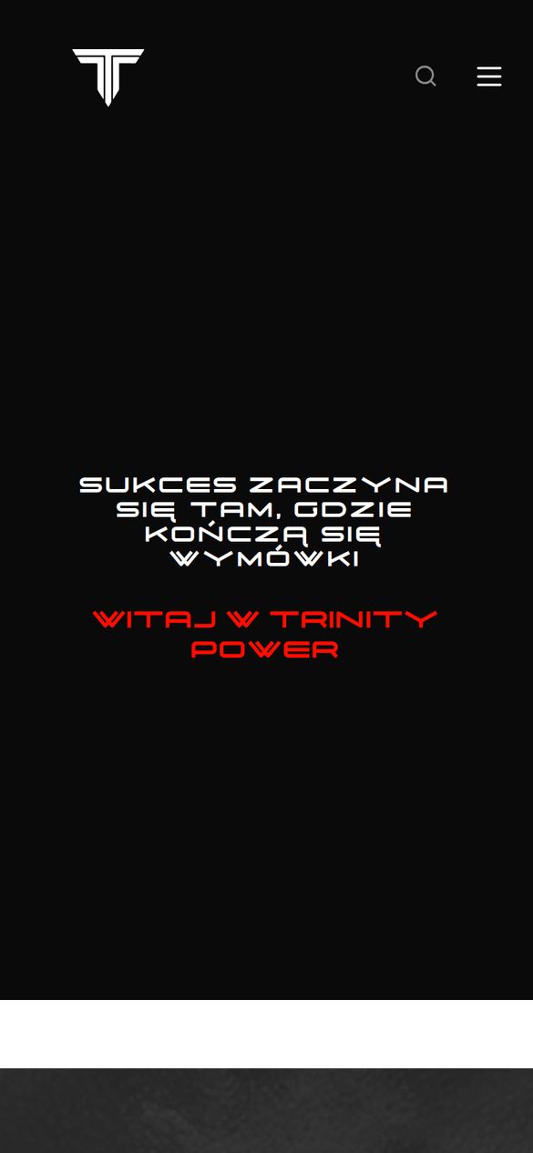 Strona główna trinity.biz.pl na telefonie